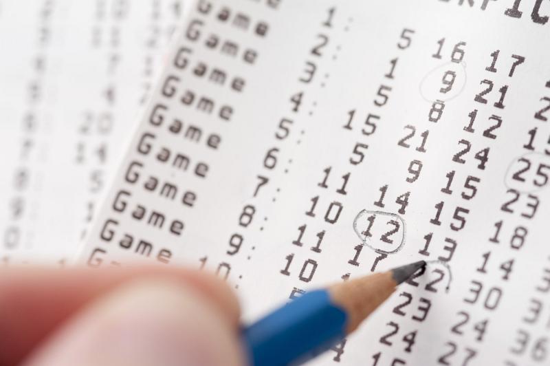 Free Stock Photo: Person checking lottery numbers for the prize draw on a card ringing them with a pencil