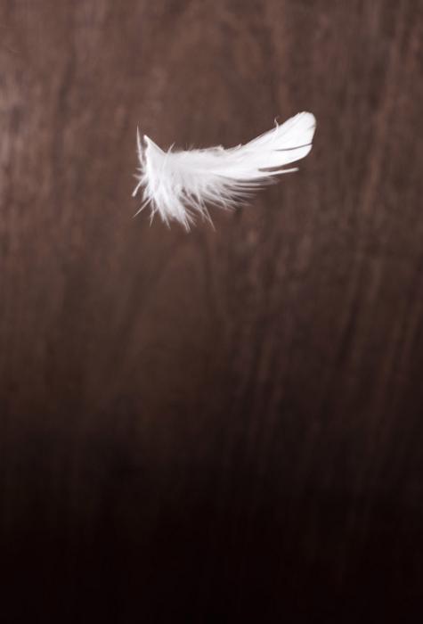 Free Stock Photo: White light feather floating in the air against dark wooden background with copy space. Idea concept
