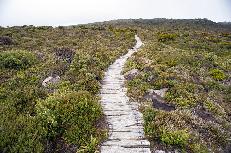 Free Stock Photo: Long path uphill with wooden walkway made of old withered logs or planks, through rough rocky hill terrain covered with grass