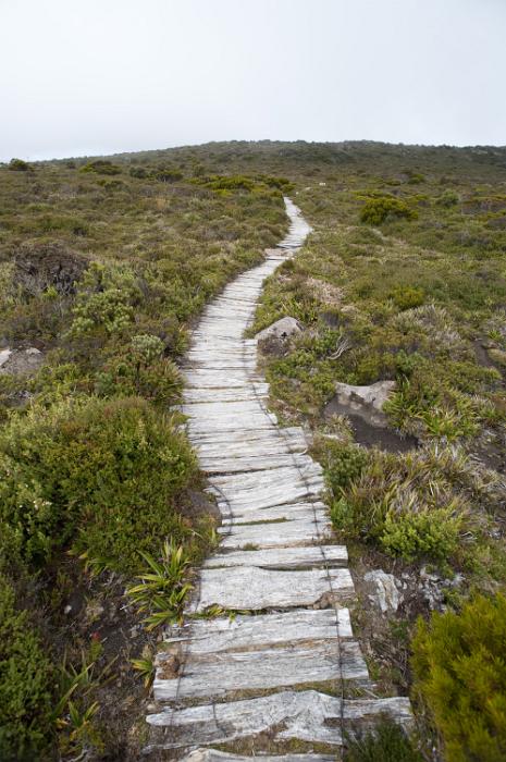 Free Stock Photo: Long curvy path way uphill in the nature with a walkway made of split wooden logs