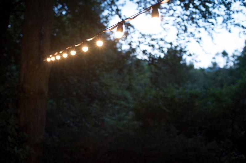 Free Stock Photo: a festoon of glowing warm white coloured lamps in a wooded garden