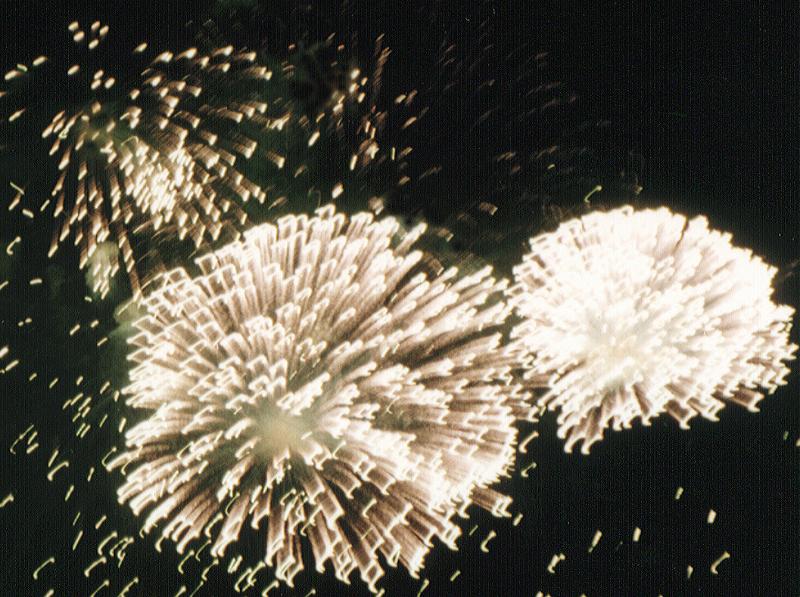 Free Stock Photo: motion blurred firework explosions