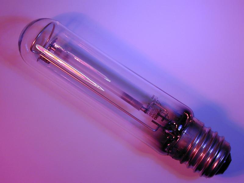 Free Stock Photo: a sodium discharge lamp with pink and purple lighting