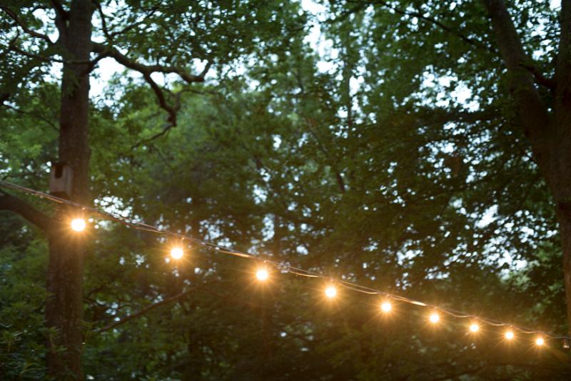 Free Stock Photo: a warm white string or festoon of outdoor lights in the trees
