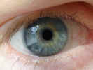 eye2314.jpg (761908 bytes)