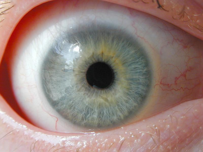 Free Stock Photo: Close up detail of a blue-green human eye opened wide to show the structure of the iris and pupil