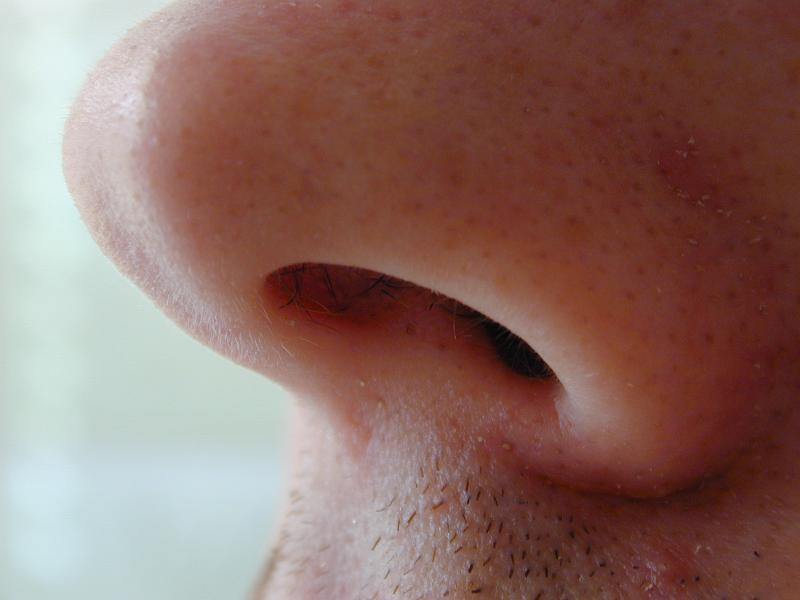 Free Stock Photo: Extreme Close Up of Male Nose and Nostril with Visible Pores and Moustache Stubble