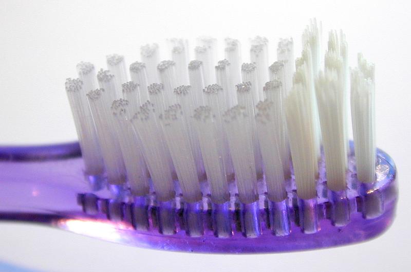 Free Stock Photo: Head of a purple plastic toothbrush with new bristles in a dental care, oral hygiene and medical concept