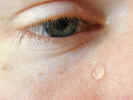 teardrops2322.jpg (473446 bytes)