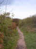 path02757.jpg (579340 bytes)