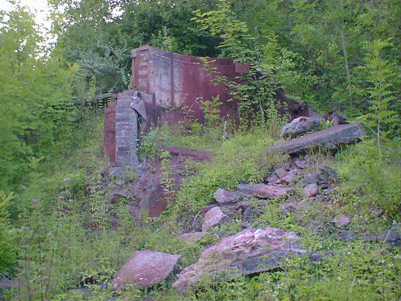 Free Stock Photo: remains of an old factory overgrown with plants