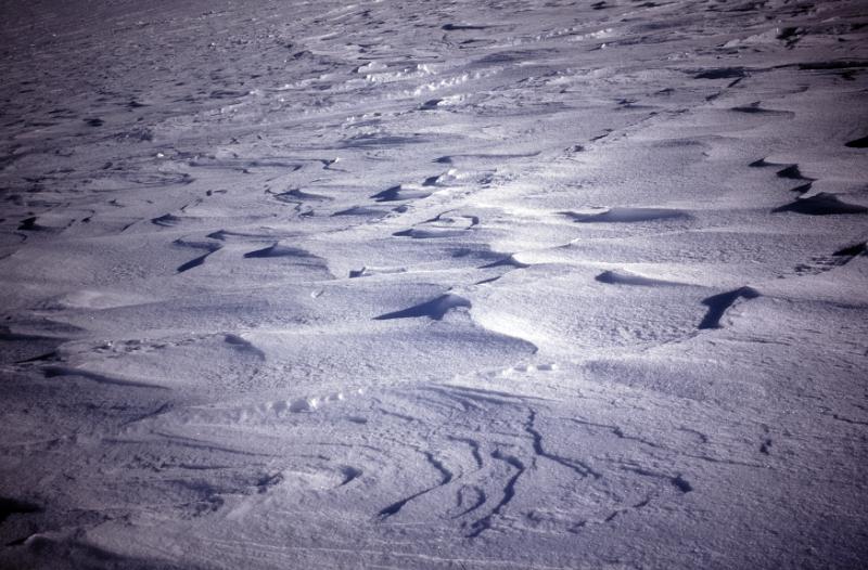 Free Stock Photo: wind sculpted snow background