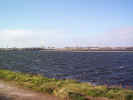 docks02799.jpg (410185 bytes)
