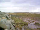 estuary02776.jpg (343492 bytes)