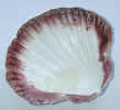 natureshell0590.jpg (404358 bytes)