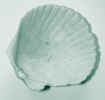 natureshell0593.jpg (498354 bytes)