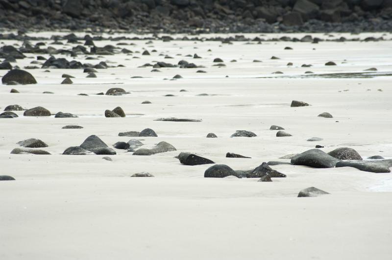 Free Stock Photo: Plenty of Small to Medium Rocks at the Empty Seaside with White Sand.