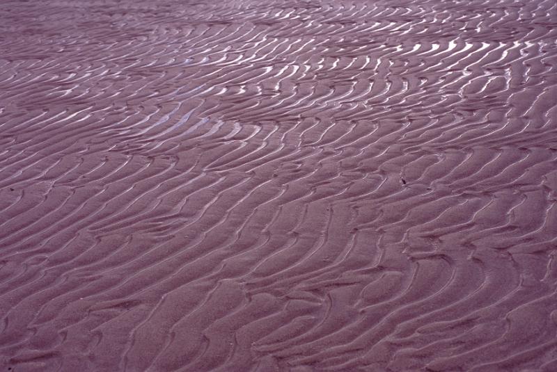 Free Stock Photo: Wet sand ripples on a beach left by the receding tide in a full frame background pattern and texture