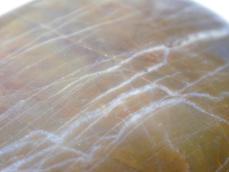 Free Stock Photo: Close up of the pattern formed by quartzite veins in a smooth sandstone rock eroded by water