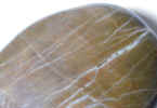 stone2147.jpg (448414 bytes)