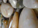 stones2143.jpg (460047 bytes)