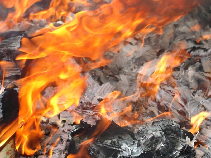 Free Stock Photo: Orange flames licking across burning rubbish as a means of keeping the environment clean and free of waste pollution