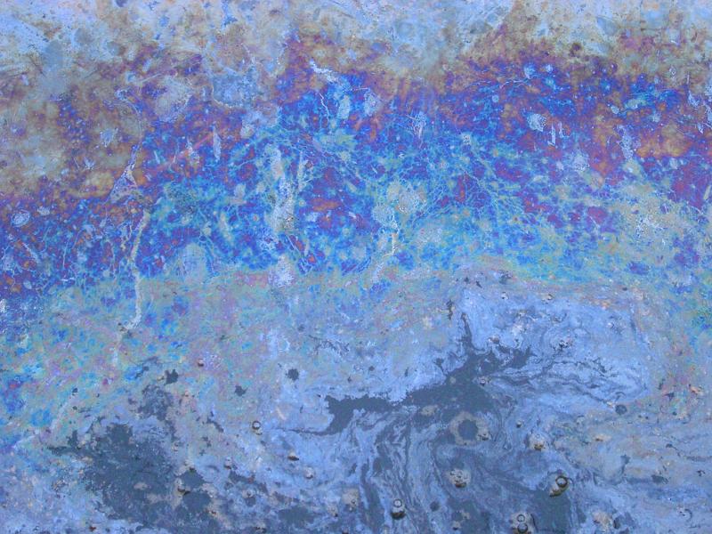 Free Stock Photo: colorful patterns in an oil slick on the surface of a pond, environmental damage