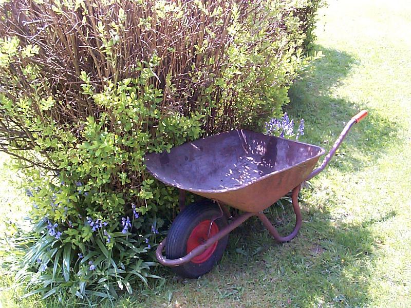 Free Stock Photo: Wheelbarrow on a garden lawn standing alongside a flowerbed with shrubs in a concept of nature and garden maintenance
