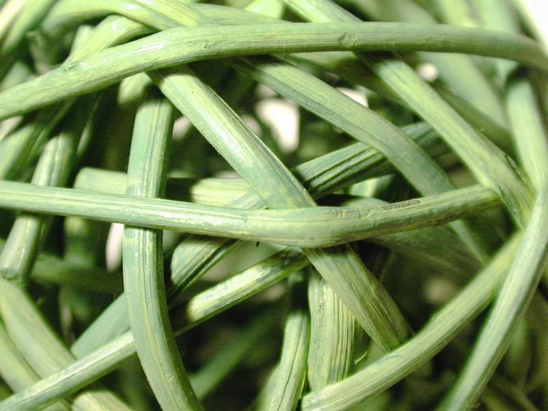 Free Stock Photo: Background texture of random woven green rushes, close up full frame