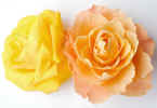 floralrose0673.jpg (323026 bytes)