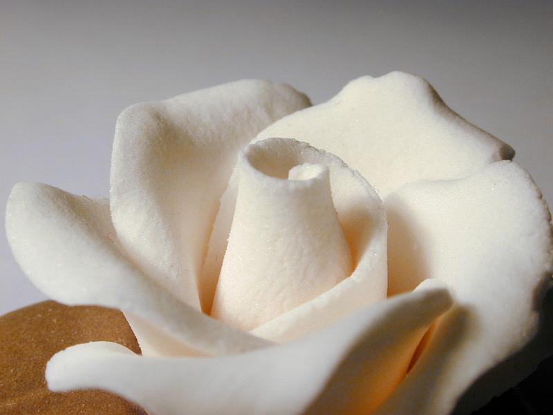 Free Stock Photo: White icing sugar flower for use in baking to decorate a cake or confectionery, close up view