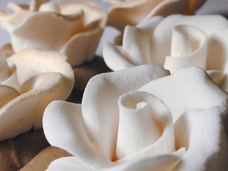 Free Stock Photo: Close up of white icing sugar roses ready to be used in baking to decorate a cake