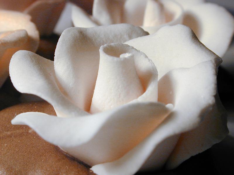 Free Stock Photo: Ornamental white icing sugar rose for decorating cakes at a bakery or home baking, close up side view