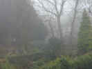foggygarden4212.jpg (858642 bytes)