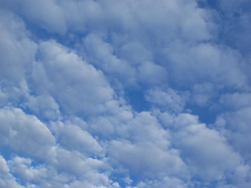 Free Stock Photo: white clouds in a blue sky