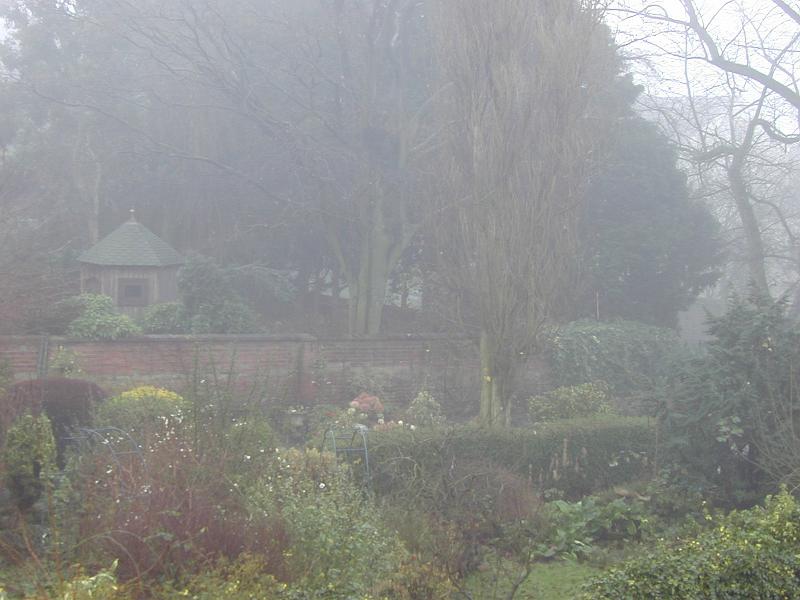 Free Stock Photo: Scenic View of Tranquil Garden, Small Hut and Brick Wall Shrouded in Mist