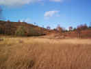 autumnmedow02969.jpg (403542 bytes)