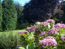 gardens02567.jpg (486992 bytes)
