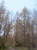 nature01450.jpg (628020 bytes)