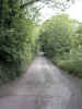 nature02047.jpg (637830 bytes)