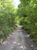 nature02050.jpg (620996 bytes)