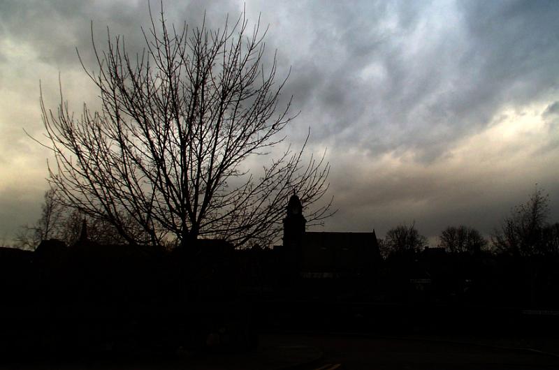 Free Stock Photo: dark storky sky with tree silhouette