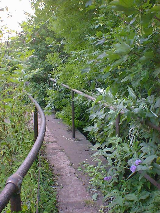 Free Stock Photo: Footpath with iron railings curving to the left through dense greenery and bushes in a concept of a healthy outdoors lifestyle and nature