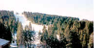ski3.jpg (872883 bytes)