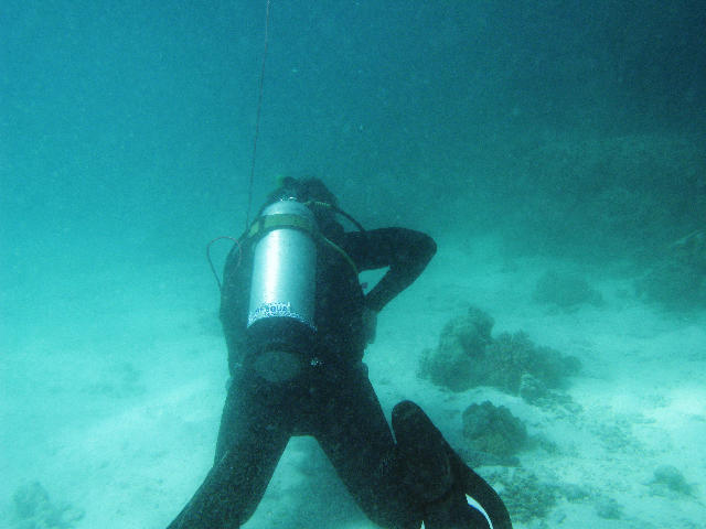 Free Stock Photo: A scuba diver swimming underwater