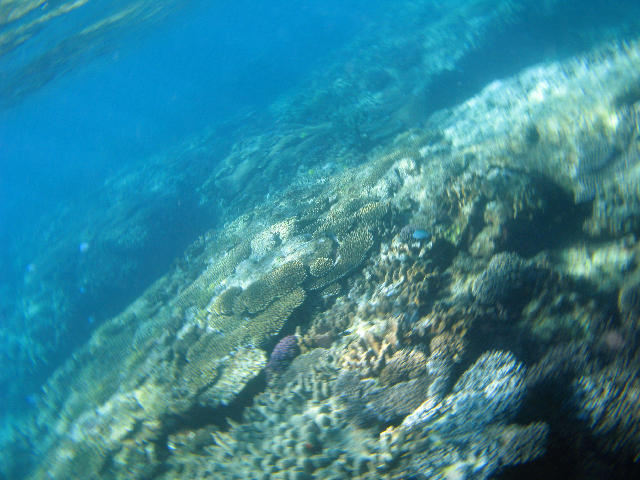 Free Stock Photo: A spinning vertigo effect photo taken underwater