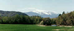 nature00025p.jpg (445024 bytes)
