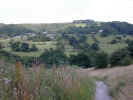 naturehillside1332.jpg (646563 bytes)