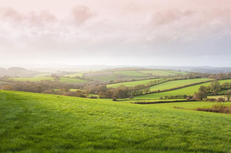 Free Stock Photo: Scenic landscape view of lush rolling green hills in the English countryside with sunlight breaking through morning mist and cloud
