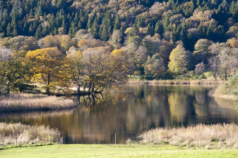 Free Stock Photo: Reflections of surrounding trees mirrored in the water of a still lake in scenic countryside, landscape view